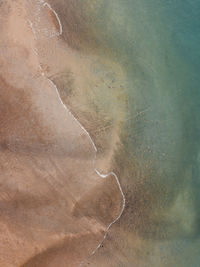 Coastal landscape in patagonia.