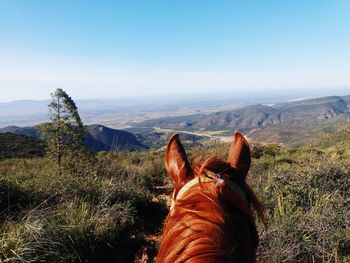 Dog looking at mountain range against sky