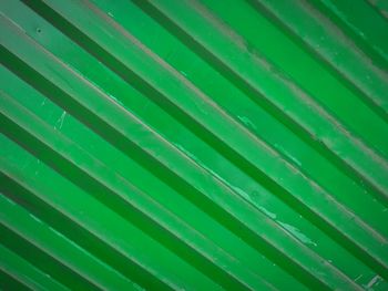 Full frame shot of palm leaf