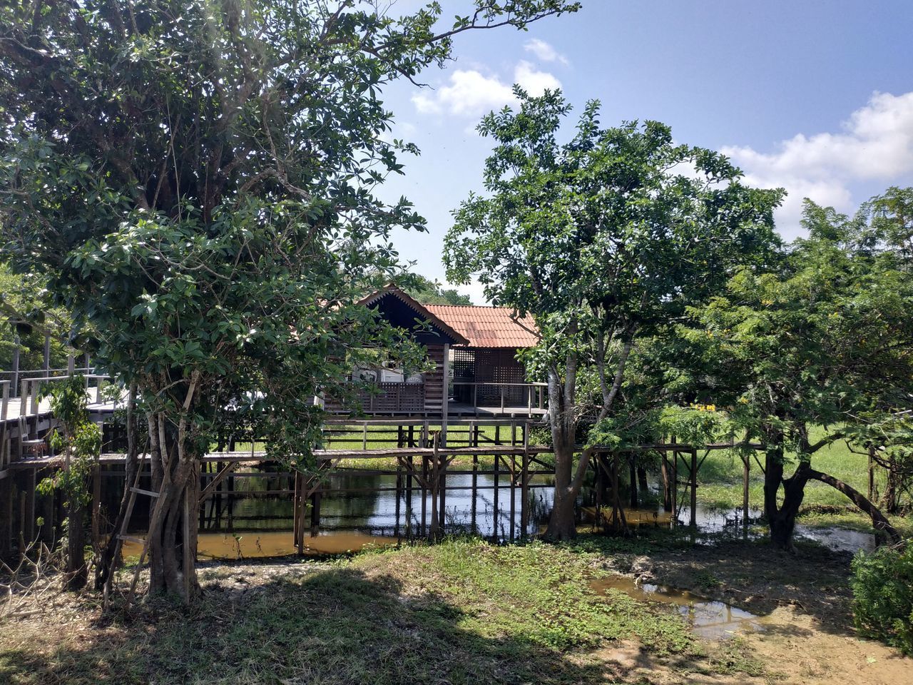 HOUSE AMIDST TREES AND PLANTS ON FIELD