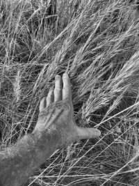Close-up of person hand on field