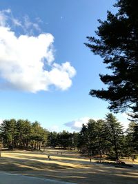 Road by trees against blue sky