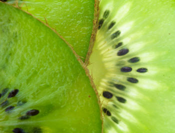 Full frame shot of kiwi slice