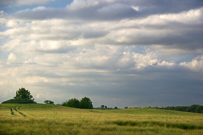 Scenic view of agricultural field against sky