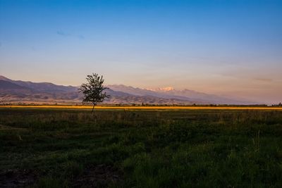 Scenic view of field against sky during sunset