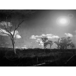 Scenic view of field against cloudy sky