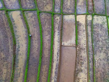 Full frame shot of rusty metal