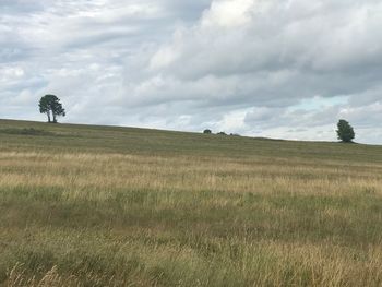 Scenic view of field against sky