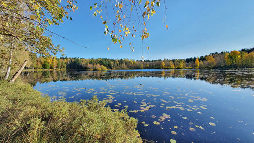 Scenic view of lake against clear blue sky