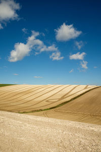 Scenic view of field against blue sky