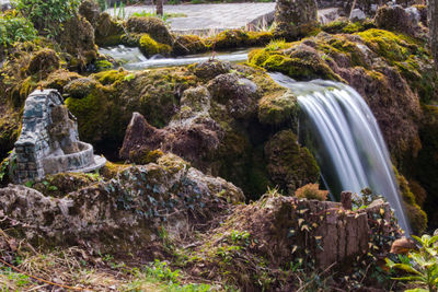 View of waterfall in forest