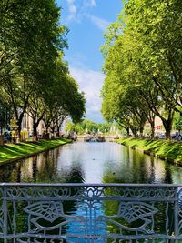 Canal by trees in city against sky