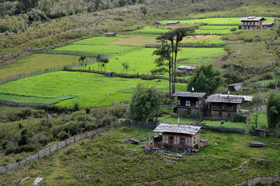 High angle view of green landscape