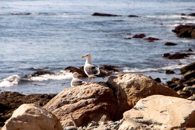 View of sea with rocks in background