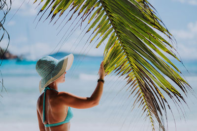 Woman touching palm leaf at beach