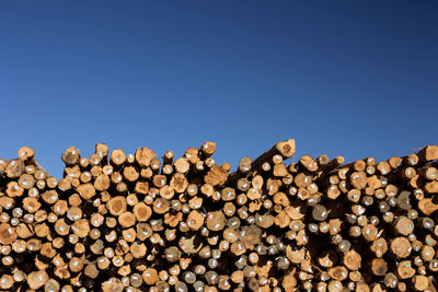 Stack of logs against clear sky