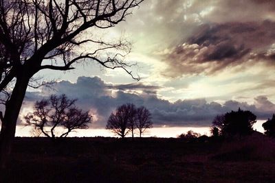 Bare trees on field against cloudy sky