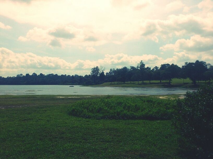 sky, tranquil scene, grass, tranquility, scenics, tree, beauty in nature, cloud - sky, field, landscape, nature, growth, water, cloudy, grassy, lake, cloud, green color, idyllic, non-urban scene