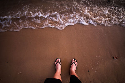 Low section of woman standing on shore at beach