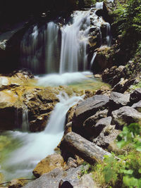 Scenic view of waterfall in forest