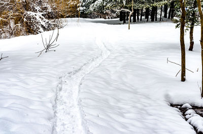 Snow covered land and trees on field during winter