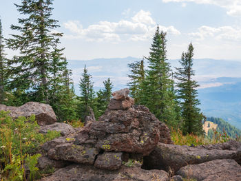 Trail marker in eastern oregon