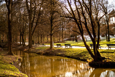 Scenic view of park by lake