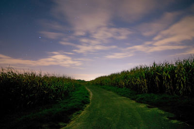 Scenic view of agricultural field against sky during sunset