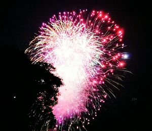 Low angle view of firework display at night