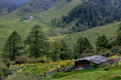 Scenic view of trees and houses on mountain