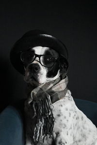 Portrait of dog wearing sunglasses against black background