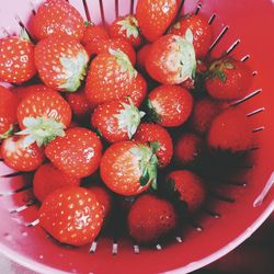 Directly above shot of strawberries