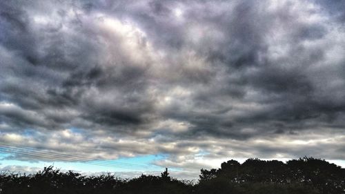 Low angle view of trees against cloudy sky