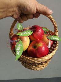 Cropped hand holding basket with apples against gray background