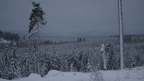 Scenic view of snow covered land