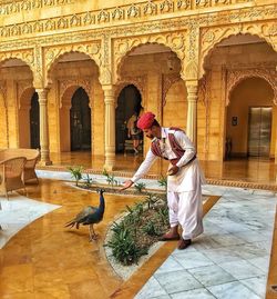 Full length of man feeding birds