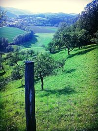 Wooden post on field against sky