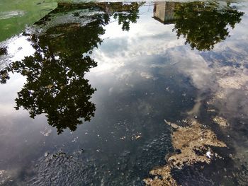 Reflection of tree in lake against sky