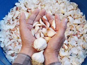 Cropped hands of man holding garlics in container