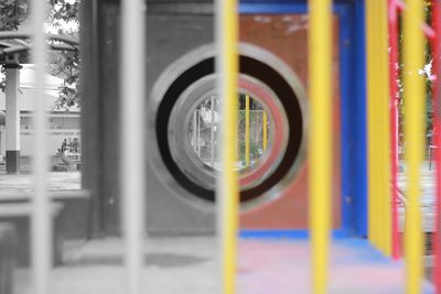 Reflection of trees in water