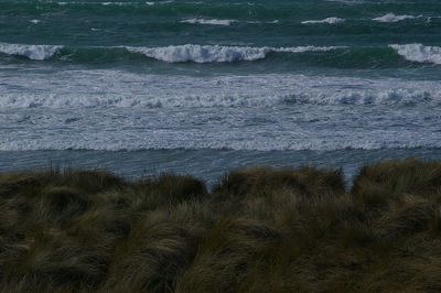 Scenic view of beach