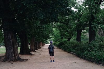 Rear view of man walking on footpath amidst trees