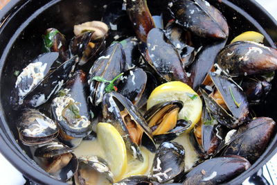 High angle view of mussels 