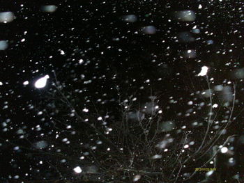 View of people on snow covered field