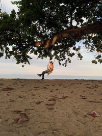 Side view of an animal on beach