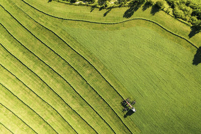 Aerial view of tractor moving green field in early spring