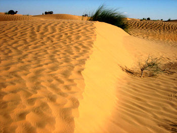 Scenic view of beach