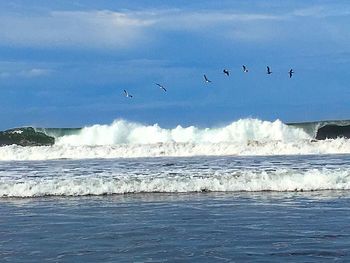 Birds flying over sea against sky