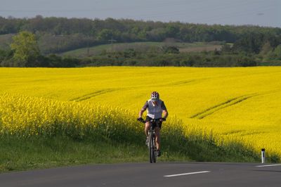 Rear view of man riding bicycle on field