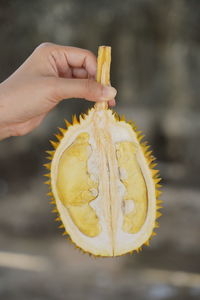 Close-up of hand holding fruit